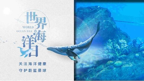 世界海洋日|蜜桃视频成人网站为你勾勒心中那片海
