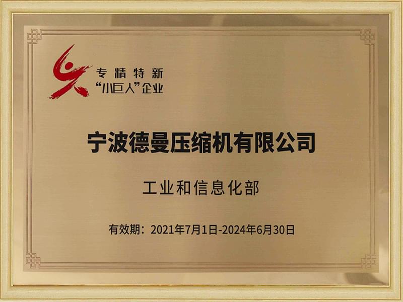 蜜桃视频成人网站入围第三批专精特新重点“小巨人”